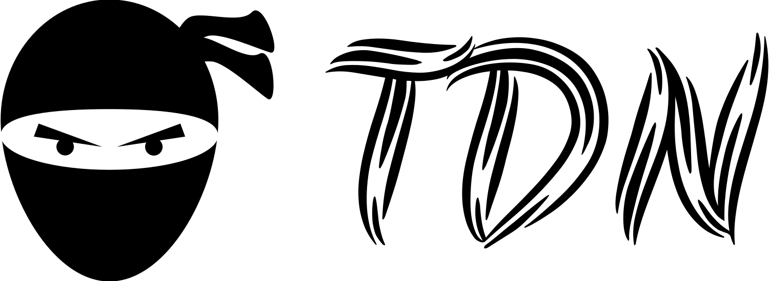 The Data Ninja Logo